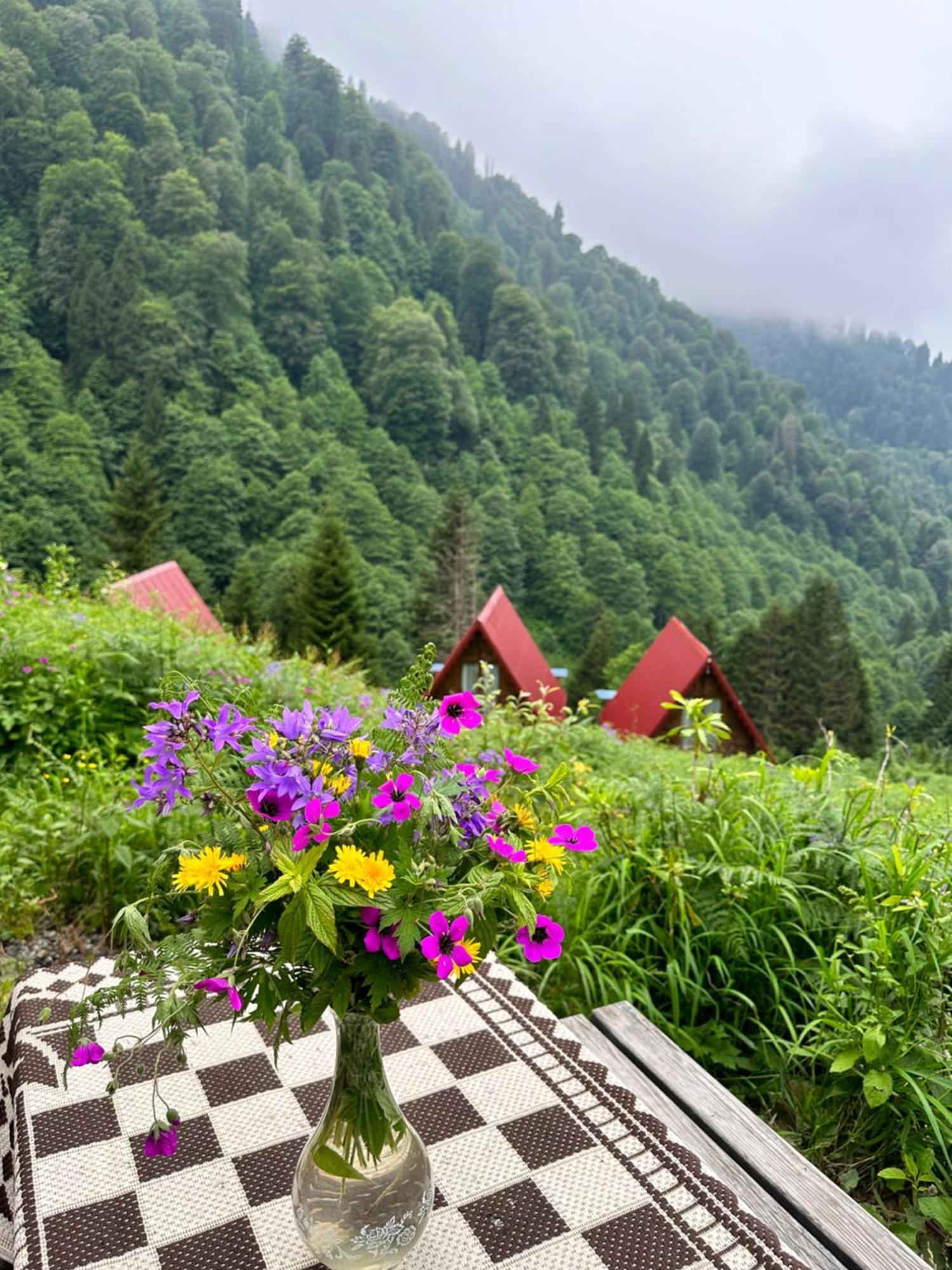 Ayder Villa Gencal ภายนอก รูปภาพ