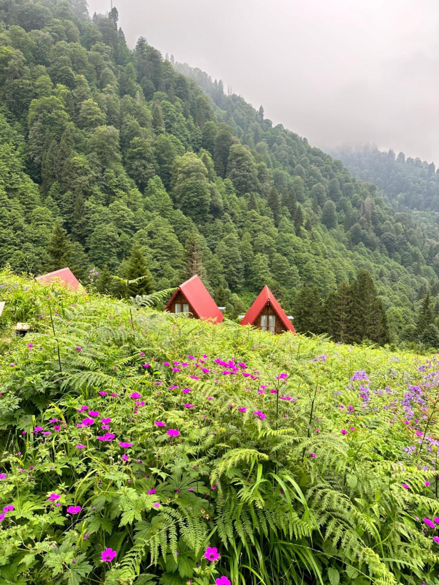 Ayder Villa Gencal ภายนอก รูปภาพ